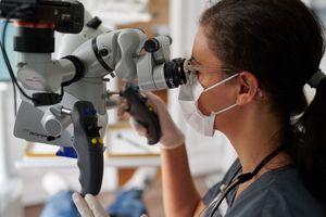 Zahnärztin führt Wurzelbehandlung mit ZEISS Mikroskop durch